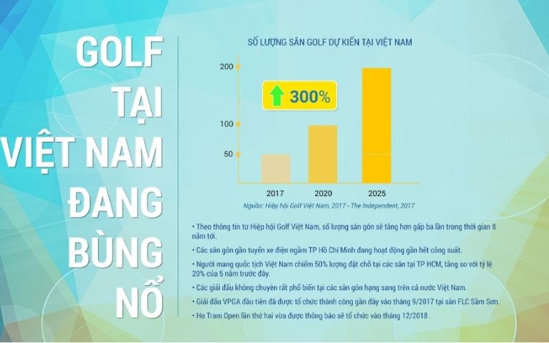 thống kế số lượng golfer tại Việt Nam